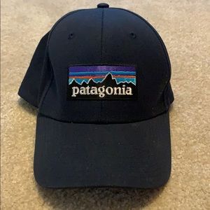 Brand new Patagonia hat